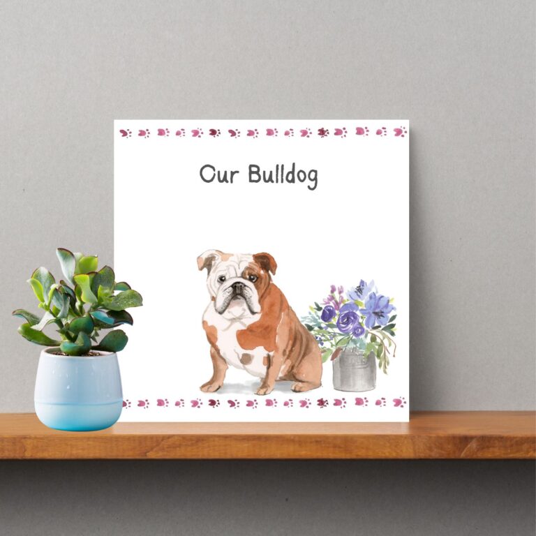 Our English Bulldog on Print