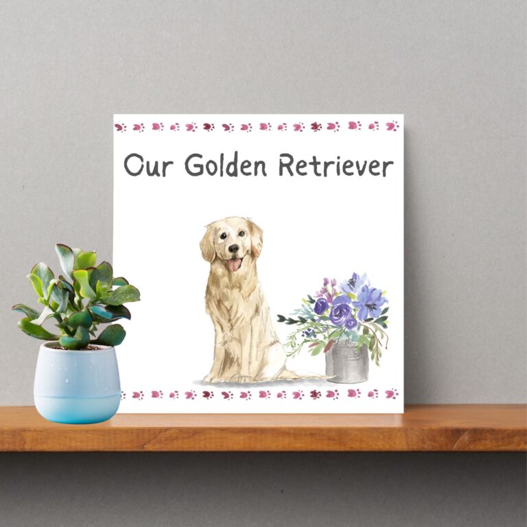 Our Golden Retriever