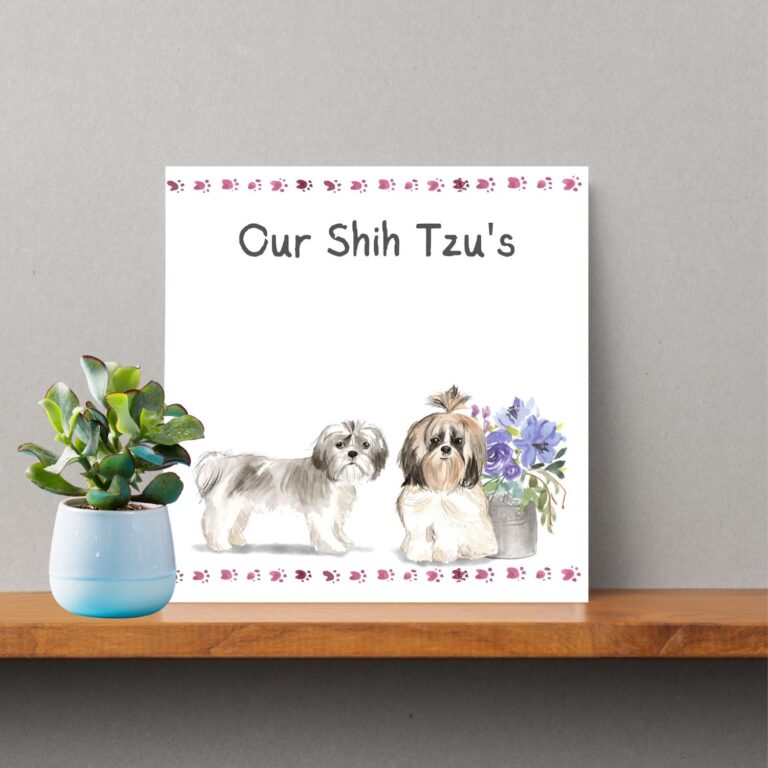 Our Shih Tzu