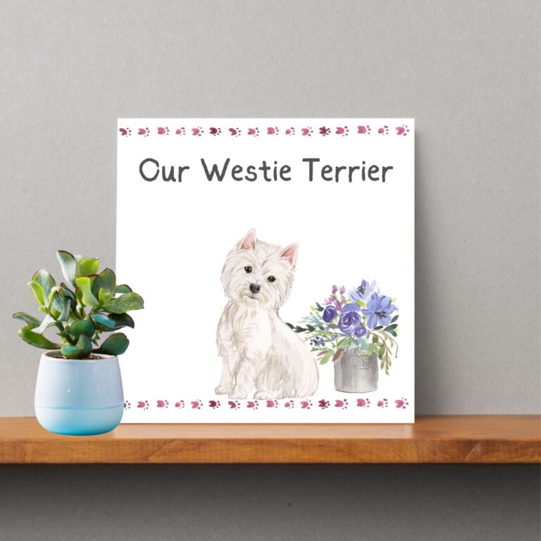 Our Westie