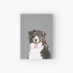 Notebooks