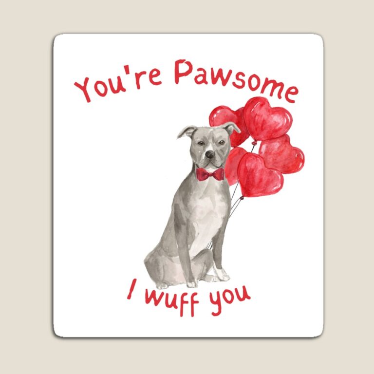 Amstaff magnet