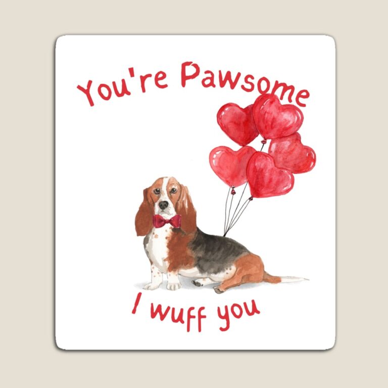 Basset Hound-magnet