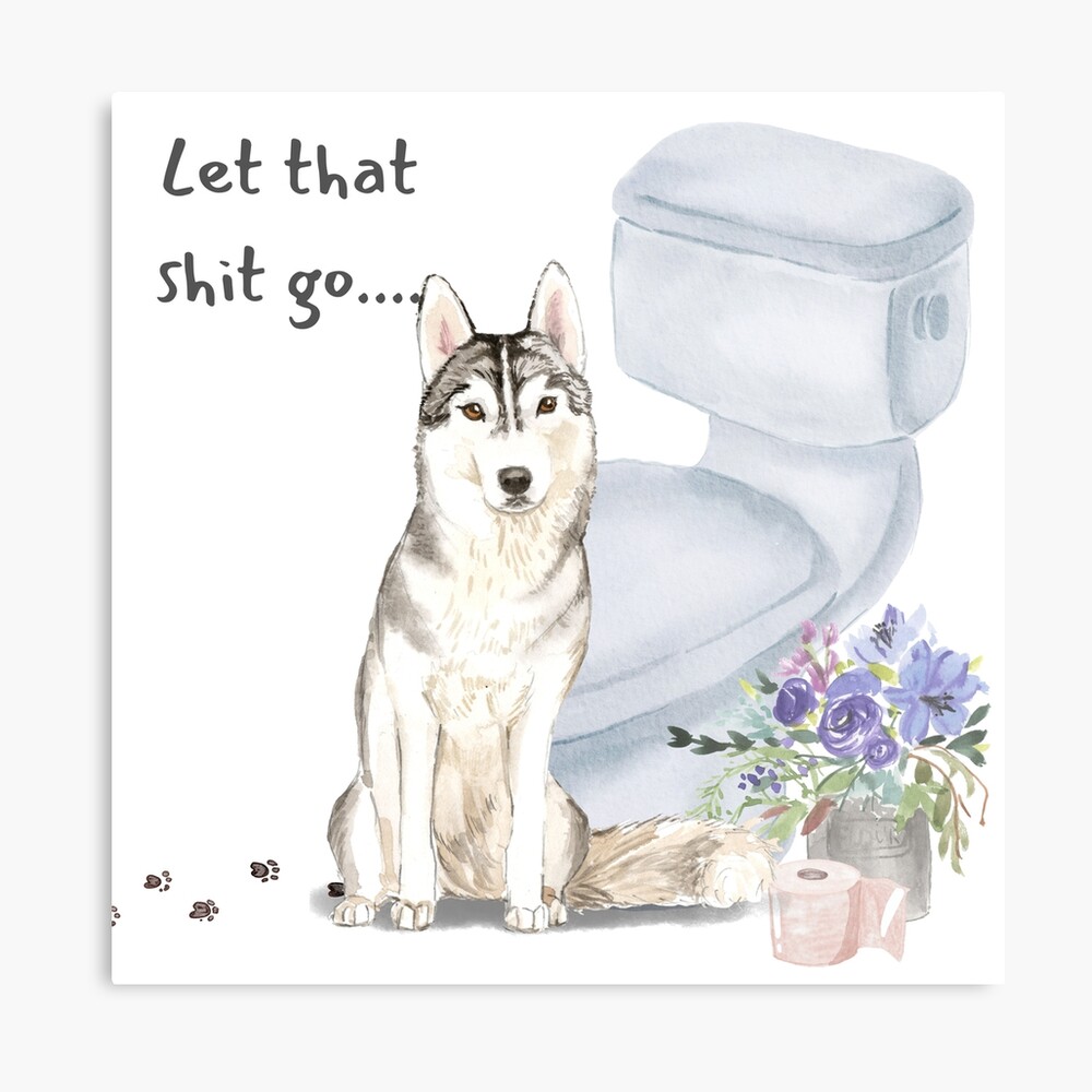 Siberian Husky sitting next to toilet